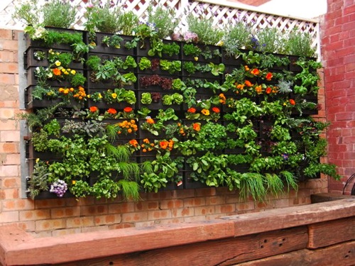 urban food growing solutions – vertical gardening, and aquaponics 