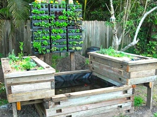 In the Aquaponics workshops that we run with Charlie in Sydney, it’s 