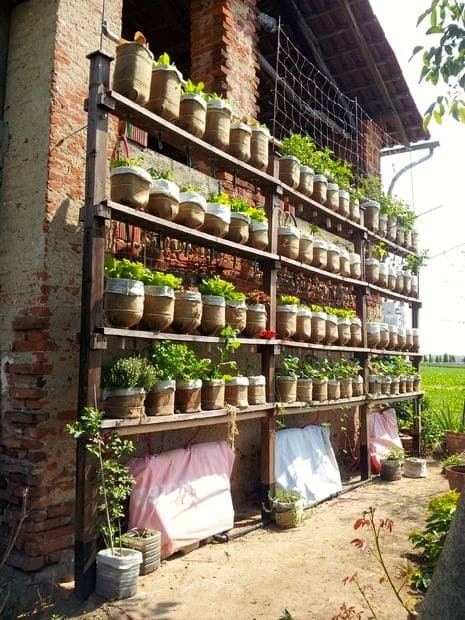 Researching: DIY vertical garden ideas that actually look good